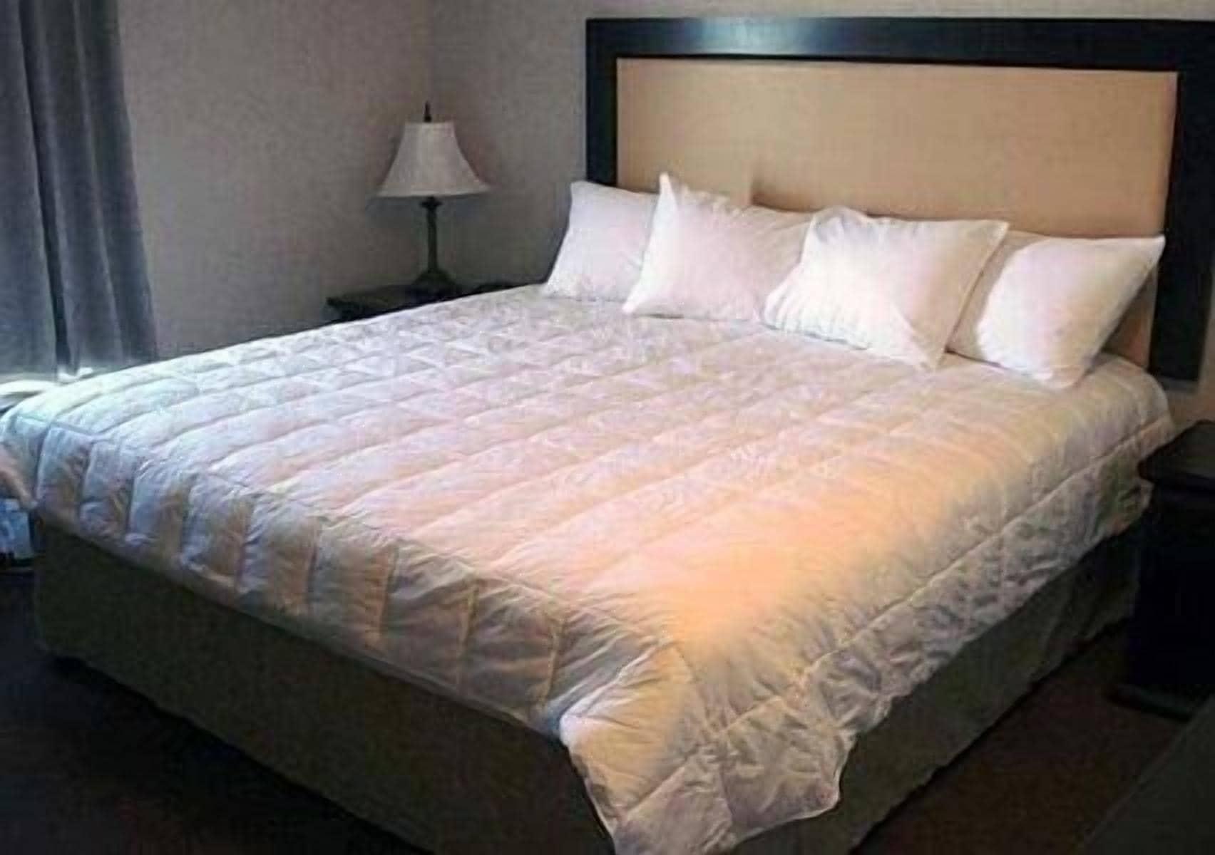 Quality Inn & Suites Летбридж Экстерьер фото